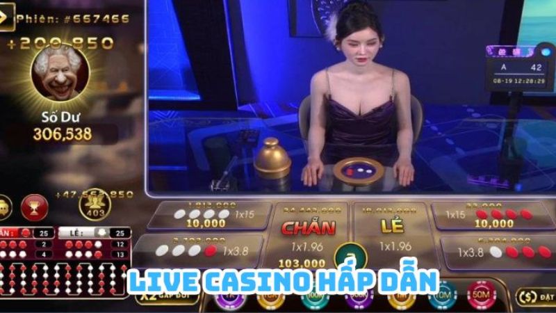 Xóc Đĩa Livestream 1 Xóc đĩa Livestream cá cược cực vui với dealer xinh đẹp